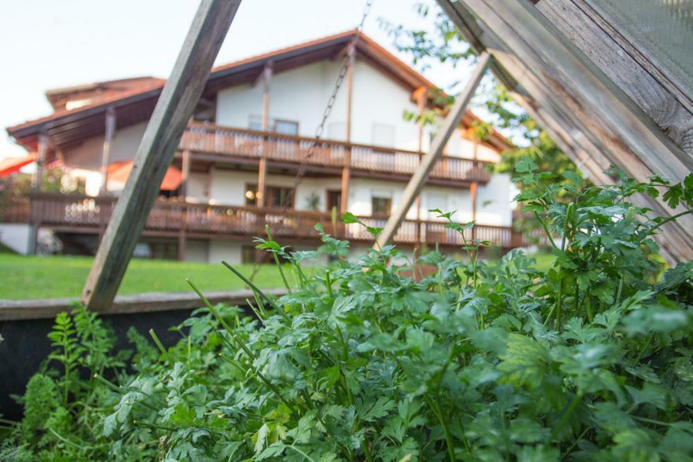 Auszeit-Wohnungen Aidenbach Exterior foto