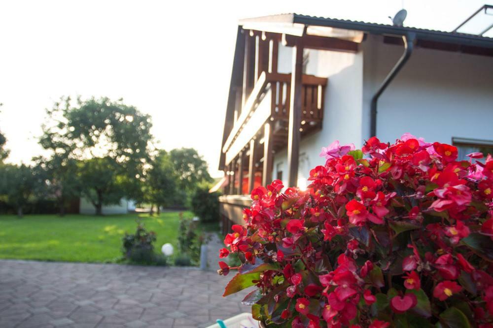 Auszeit-Wohnungen Aidenbach Exterior foto